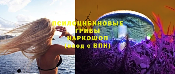 не бодяженный Осинники