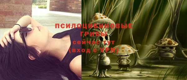 не бодяженный Осинники