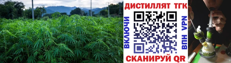 ТГК THC oil  цена   Андреаполь 