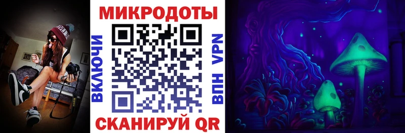 Галлюциногенные грибы MAGIC MUSHROOMS mega онион Андреаполь